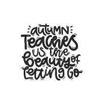 How Autumn Teaches Us To Let Go