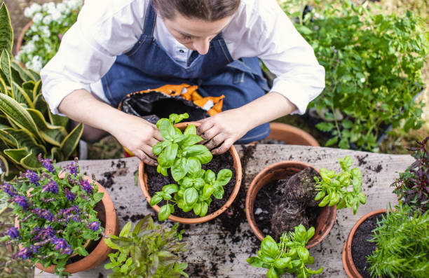 Build Your Own Container Herb Garden