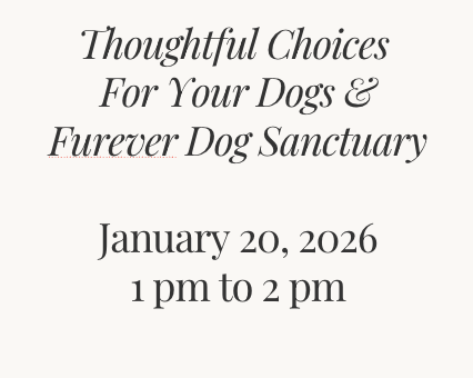 Thoughtful Choices For Your Dog