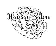 Hairsay Salon logo